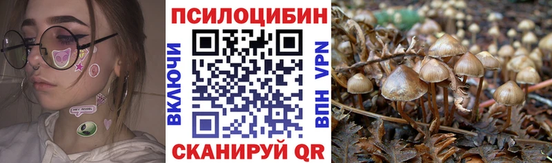 продажа наркотиков  Дюртюли  Галлюциногенные грибы Psilocybine cubensis 